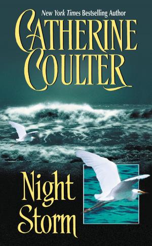 Cover of the book Night Storm by Suzanne Enoch