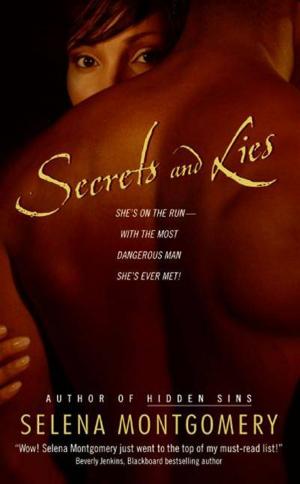 Cover of the book Secrets and Lies by Saj-nicole Joni, Damon Beyer