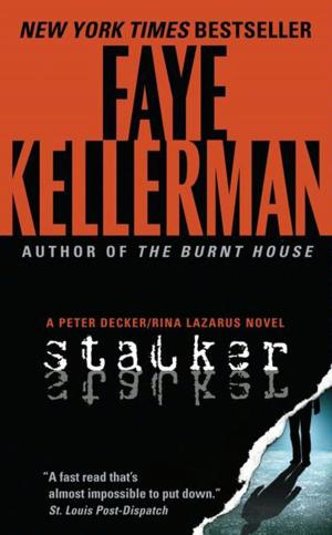 Cover of the book Stalker by Jefferson Bass