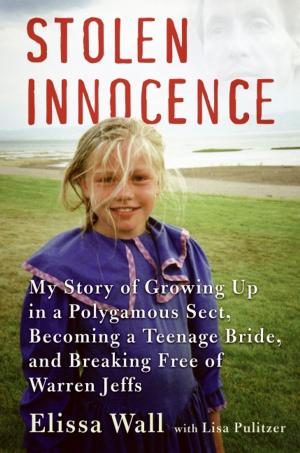 Cover of the book Stolen Innocence by David Feldman