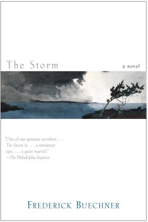 Cover of the book The Storm by Jiddu Krishnamurti