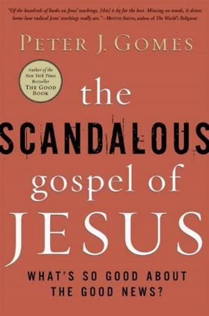 Cover of the book The Scandalous Gospel of Jesus by Elizabeth Wagele, Ingrid Stabb