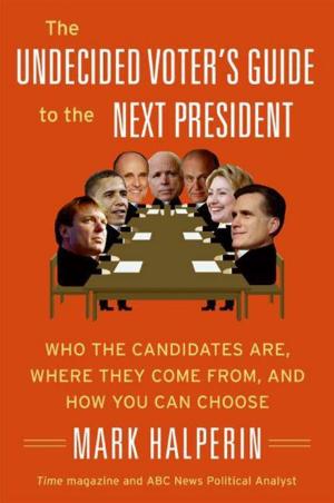 Cover of the book The Undecided Voter's Guide to the Next President by Annie Wang