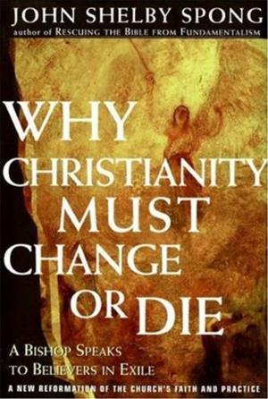 bigCover of the book Why Christianity Must Change or Die by 