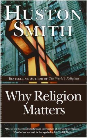 Cover of the book Why Religion Matters by Ariane de Bonvoisin