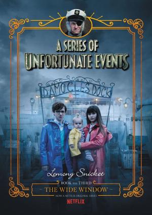bigCover of the book A Series of Unfortunate Events #3: The Wide Window by 