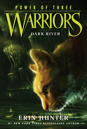 Cover of the book Warriors: Power of Three #2: Dark River by Matthew Mainster