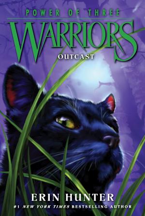 Cover of the book Warriors: Power of Three #3: Outcast by Julie Kagawa