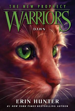 Cover of the book Warriors: The New Prophecy #3: Dawn by Christina Channelle