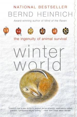 Cover of the book Winter World by Daniel Mark Epstein