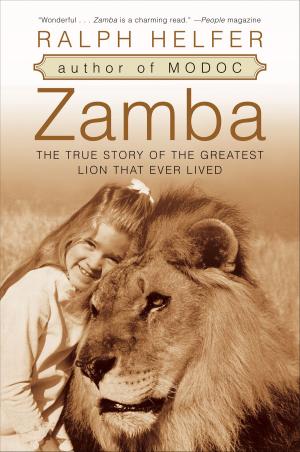 Cover of the book Zamba by Gail Sheehy
