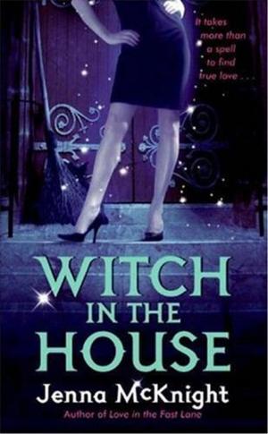 Cover of the book Witch in the House by David Yeadon