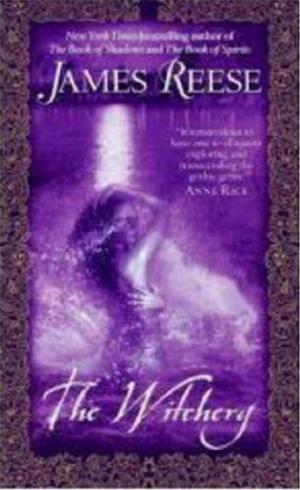 Cover of the book The Witchery by Jeffrey M. Schwartz, Annie Gottlieb