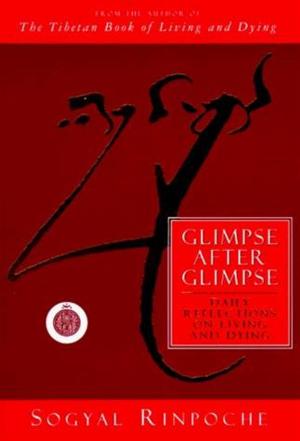 Cover of the book Glimpse After Glimpse by Yogi Cameron Alborzian