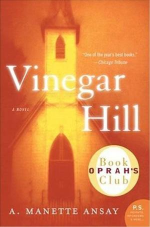 Cover of the book Vinegar Hill by Debra White Smith