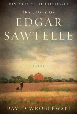 Cover of the book The Story of Edgar Sawtelle by Armistead Maupin