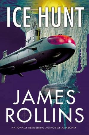 bigCover of the book Ice Hunt by 
