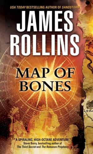 Cover of the book Map of Bones by Kelly LeVeque