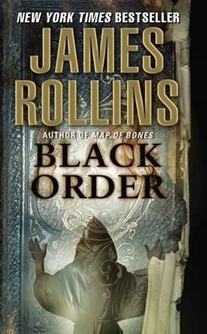 Cover of the book Black Order by Dan Hampton