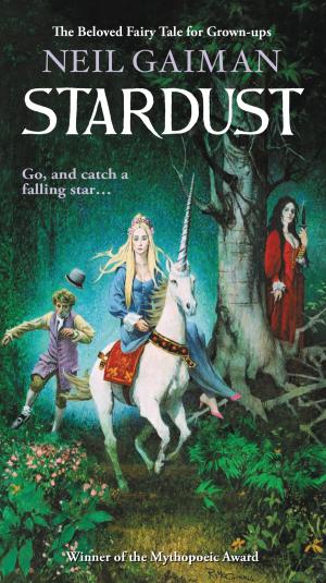Cover of the book Stardust by Laura Lippman