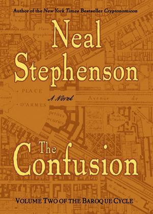 Book cover of The Confusion