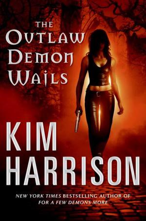 Book cover of The Outlaw Demon Wails