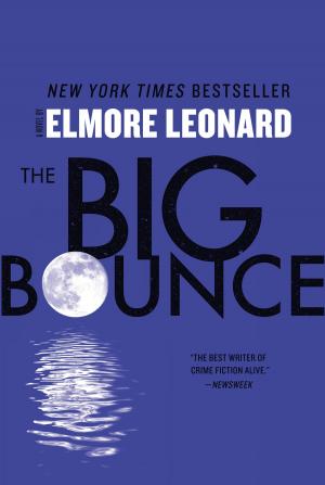 Cover of the book The Big Bounce by Shirley Rousseau Murphy, Pat J. J. Murphy