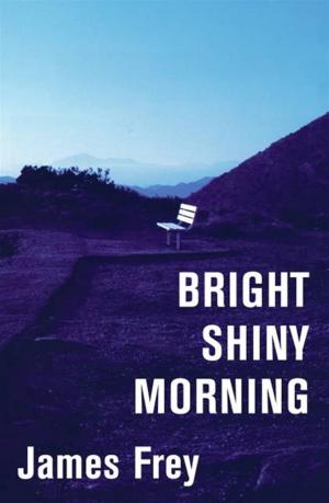 Book cover of Bright Shiny Morning