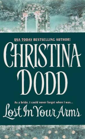 Cover of the book Lost in Your Arms by Stephen Viscusi