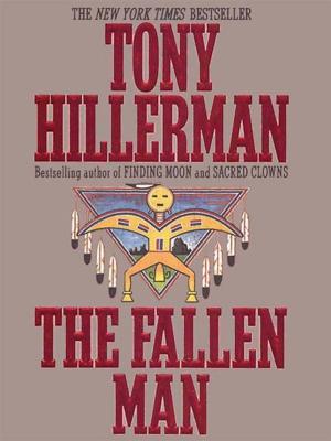 bigCover of the book The Fallen Man by 