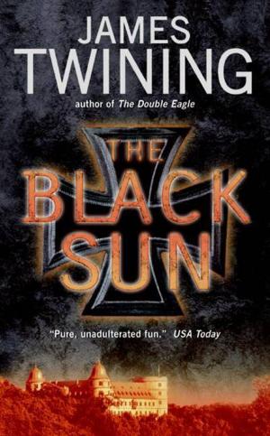 Cover of the book The Black Sun by Camilla Morton