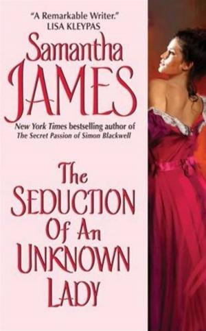 Cover of the book The Seduction of an Unknown Lady by Aaron Karo