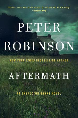 Cover of the book Aftermath by Bruce Weinstein