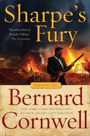 Book cover of Sharpe's Fury
