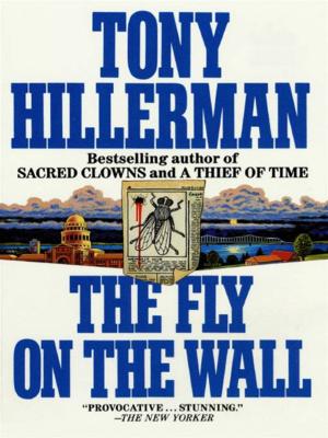 Cover of the book The Fly on the Wall by Paullina Simons