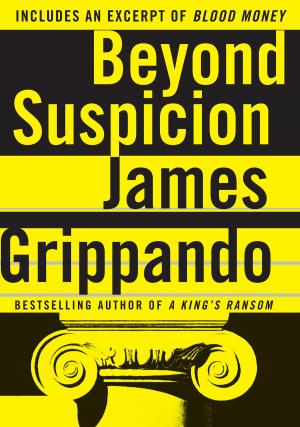 Cover of the book Beyond Suspicion by Jay Spenser