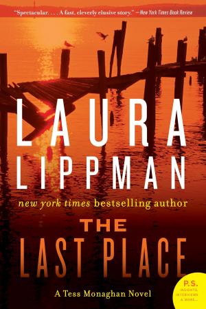 Cover of the book The Last Place by Elizabeth Peters