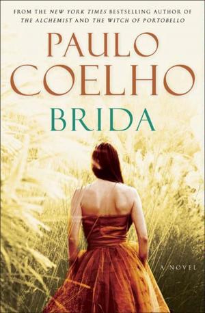 Book cover of Brida