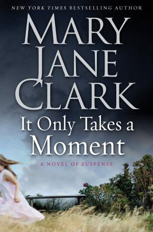 Cover of the book It Only Takes a Moment by Melissa Jacobs