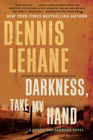 Cover of the book Darkness, Take My Hand by Elizabeth Peters