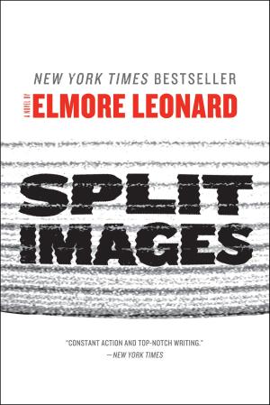 Cover of the book Split Images by Beatriz Williams