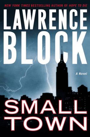 Cover of the book Small Town by Sarah MacLean
