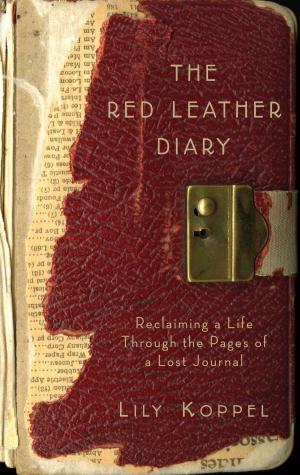 bigCover of the book The Red Leather Diary by 