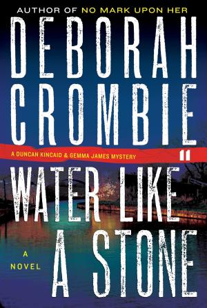 Book cover of Water Like a Stone