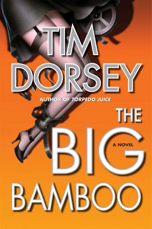Cover of the book The Big Bamboo by Gregory Maguire