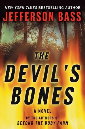 Cover of the book The Devil's Bones by Leda Swann