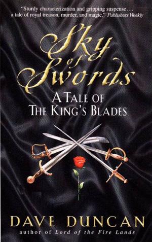 Book cover of Sky of Swords