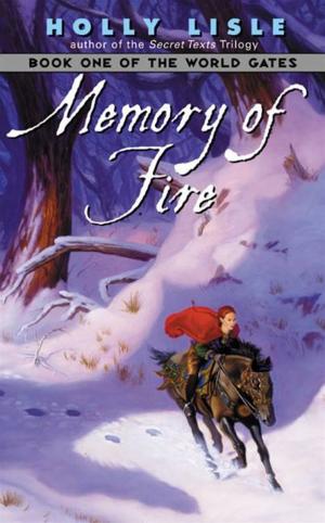 Cover of the book Memory of Fire by Christine Vachon
