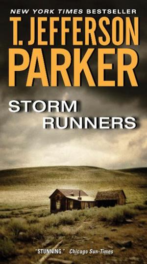 Book cover of Storm Runners