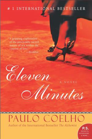 Cover of the book Eleven Minutes by Zhanna Fomochkina